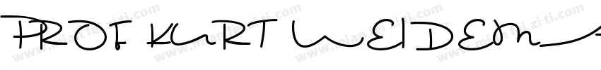 PROF KURT WEIDEMANN字体转换